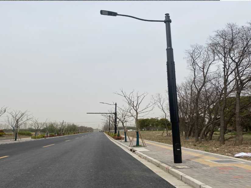 龙文区上海综合杆 太阳能路灯工程